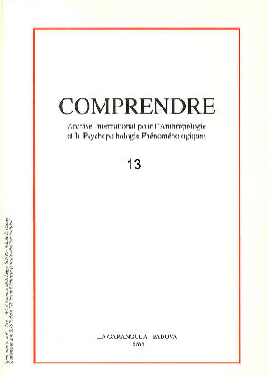 Comprendre - 2003 - N.13